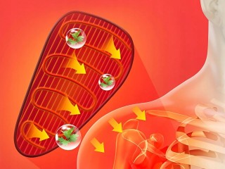 Verk Group Μασάζ Ώμου και Αγκώνα με Θέρμανση & Δόνηση - 3 Λειτουργί...