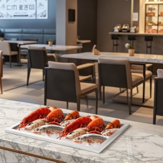 VEVOR Ανοξείδωτο Ψυγείο Πάγου 30L QRSCBC201BXGIKX41002V0 VEVOR Ανοξείδωτο Ψυγείο Πάγου 30L QRSCBC201BXGIKX41002V0