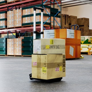 HOMCOM Πτυσσόμενο Καρότσι Μεταφοράς έως 40 kg με 2 Ιμάντες, Τηλεσκο...