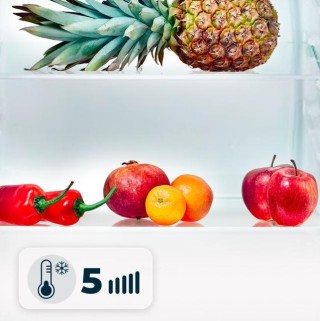 Mini Ψυγείο 90 Lt 47 x 44 x 83 cm Cecotec Bolero CoolMarket TT 90 Λ...