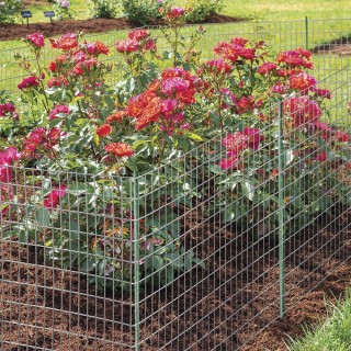 BAKAJI Ηλεκτροσυγκολλημένο Μεταλλικό Πλέγμα 2 μ x 25 μ Με Μάτι 50x... BAKAJI Ηλεκτροσυγκολλημένο Μεταλλικό Πλέγμα 2 μ x 25 μ Με Μάτι 50x...