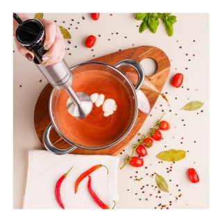 Vertenz Μπλέντερ Χειρός Titan 50 Πολλαπλών Λειτουργιών 5903796012712 Vertenz Μπλέντερ Χειρός Titan 50 Πολλαπλών Λειτουργιών 5903796012712