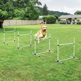 PawHut Set 4 Agility Dog Obstacles for Dog Training with Transport ... PawHut Set 4 Agility Dog Obstacles for Dog Training with Transport ...