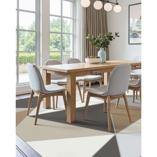 VEVOR Μεγάλο Χαλί 5x7 ft Αντιολισθητικό Εσωτερικού Χώρου σε Μοντέρν...