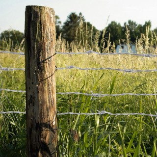 BAKAJI Σύρμα Ακανθωτό Γαλβανισμένο 100 Μέτρα Κουλούρα Μεταλλική γι... BAKAJI Σύρμα Ακανθωτό Γαλβανισμένο 100 Μέτρα Κουλούρα Μεταλλική γι...