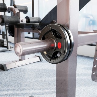 SPORTNOW Σετ Δίσκων Βαρών 2x2.5 κιλά με Τρύπα 5 εκ και 3 Λαβές, Ατσ... SPORTNOW Σετ Δίσκων Βαρών 2x2.5 κιλά με Τρύπα 5 εκ και 3 Λαβές, Ατσ...