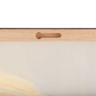 Galileo Ζωγραφισμένος καμβάς 50x70 cm Afrika Sibilla 5920444 Τυχαία...