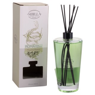 Galileo Διαχύτης χώρου 500 ml σε γυαλί με 6 ραβδιά από πολυεστέρα R...