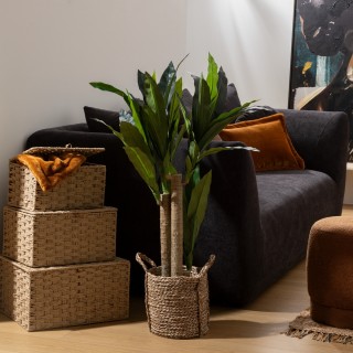 Atmosphera  Τεχνητό Φυτό Δράκαινα Onia
Μαύρη γλάστρα, Υ.105 εκ.  19...