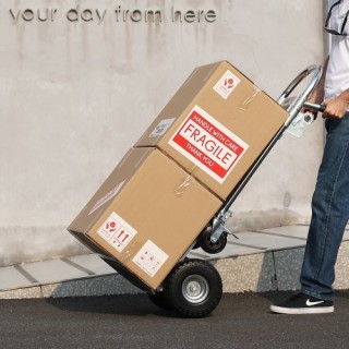 VEVOR Αλουμινένιο Καρότσι 2 σε 1, 1000 lbs, Βιομηχανικό Καρότσι & Π...