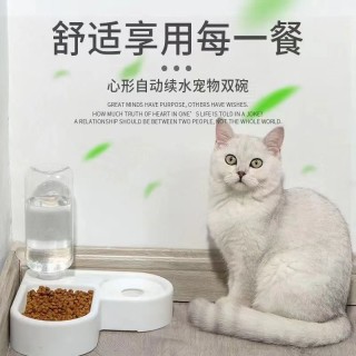 Verk Group Διπλό Μπολ Γάτας 5907451372593 Verk Group Διπλό Μπολ Γάτας 5907451372593