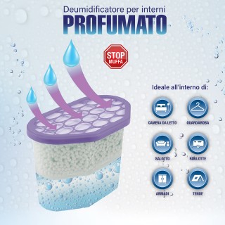 Galileo Αφυγραντήρας Χώρου Άρωμα Λεβάντας 500ml 2196445 Galileo Αφυγραντήρας Χώρου Άρωμα Λεβάντας 500ml 2196445