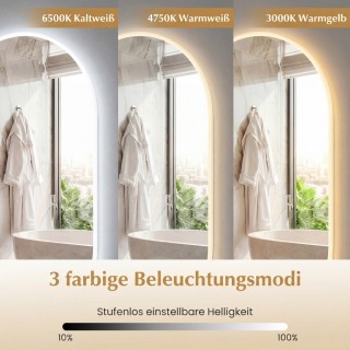 Costway Οβάλ Φωτιζόμενος Καθρέφτης Μπάνιου 80 x 50cm με Αντιθαμβωτι...