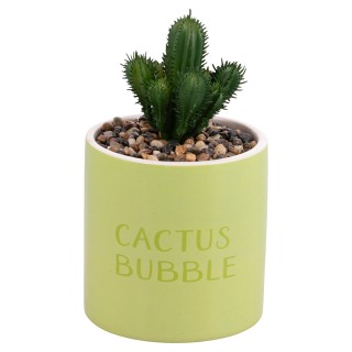 Villa DEste Σετ 4τμχ Τεχνητό Παχύφυτο σε κεραμικό γλαστράκι Cactus ...