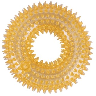 Galileo Λαστιχένιο Παιχνίδι για Κατοικίδια Δαχτυλίδι TPR 12 εκ. Dup...