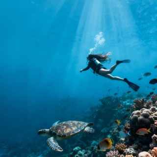 VEVOR Αντάπτορας Γεμίσματος Φορητής Φιάλης Κατάδυσης, Αρσενικός Σύν...