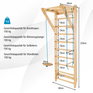 Costway Εσωτερικός Τοίχος Αναρρίχησης με Σκάλα - Αντοχή έως 100 kg ...