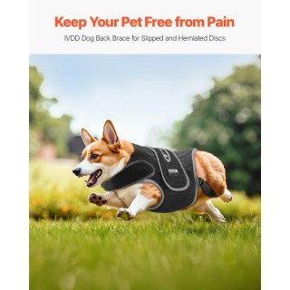 VEVOR Ρυθμιζόμενο Στήριγμα Σπονδυλικής Στήλης Σκύλου για Ανακούφιση... VEVOR Ρυθμιζόμενο Στήριγμα Σπονδυλικής Στήλης Σκύλου για Ανακούφιση...