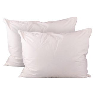 Galileo Σετ 2 Μαξιλαριών 51x66 εκ. από Πούπουλο Sibilla 5924969