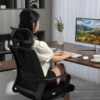 HOMCOM Εργονομική Καρέκλα Γραφείου με Προσκέφαλο και Ρυθμιζόμενο Ύψ... HOMCOM Εργονομική Καρέκλα Γραφείου με Προσκέφαλο και Ρυθμιζόμενο Ύψ...