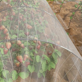 Διχτυωτό φυτικό κάλυμμα με εύκαμπτες καμάρες και κλιπ στερέωσης, λε... Διχτυωτό φυτικό κάλυμμα με εύκαμπτες καμάρες και κλιπ στερέωσης, λε...