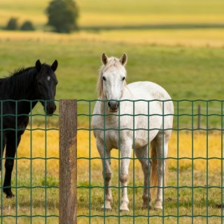 VEVOR Βαριά Καθηκόντος Γαλβανισμένο Συρματόπλεγμα, 1x20μ, 4x4 εκ, Π... VEVOR Βαριά Καθηκόντος Γαλβανισμένο Συρματόπλεγμα, 1x20μ, 4x4 εκ, Π...