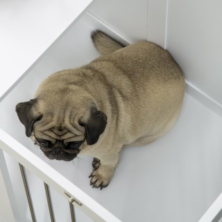 PawHut Σπιτάκι για Σκύλους Μεσαίου Μεγέθους με 2 Κλειδωμένες Πόρτες... PawHut Σπιτάκι για Σκύλους Μεσαίου Μεγέθους με 2 Κλειδωμένες Πόρτες...