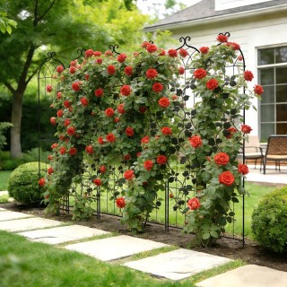 VEVOR Τρέλις Κήπου για Αναρριχώμενα Φυτά 220 x 52,5 εκ., Σετ 6 Τεμα...