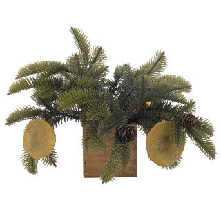 Villa dEste Home Διακοσμητικό Φυτό Garden Υψους 16 εκ με Κώνοι και ...