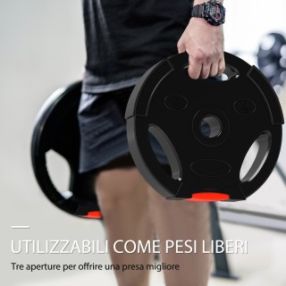 SPORTNOW  Σετ Βαρών με 2 Δίσκους των 10 κιλών και 2 Δίσκους των 5 κ...