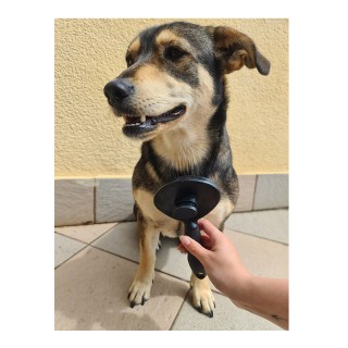 Αυτοκαθαριζόμενη Βούρτσα για Κατοικίδια Purlove 18905 Αυτοκαθαριζόμενη Βούρτσα για Κατοικίδια Purlove 18905