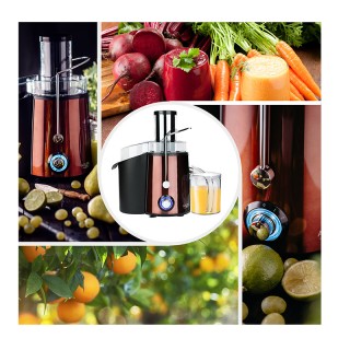 Αποχυμωτής 1000 W Χρώματος Χάλκινο Adler AD-4129 Αποχυμωτής 1000 W Χρώματος Χάλκινο Adler AD-4129