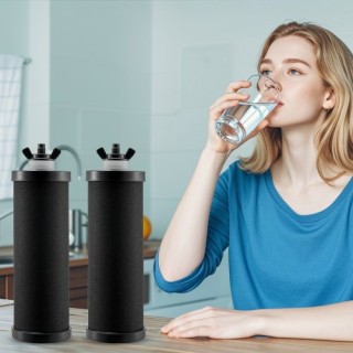 VEVOR  Ανταλλακτικά Φίλτρα Νερού για Σύστημα Βαρύτητας (Σετ 2) ZLLS...