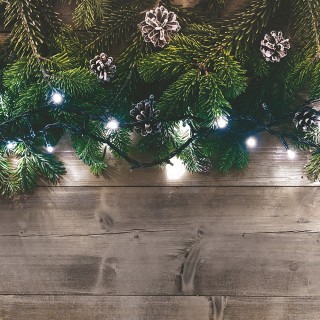 Kooper Φωτάκια Filo 1500 LED ψυχρού λευκού φωτισμού 45 μ για εξωτερ...