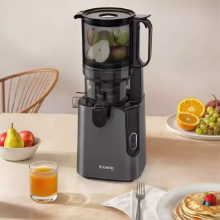H.Koenig Αποχυμωτής Αργής Σύνθλιψης 250W – BPA Free, Αθόρυβος, Ανοξ...