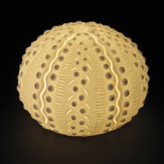 Villa dEste Home Διακοσμητικό Φωτιστικό σε Σχήμα Αχινιού από Κεραμι... Villa dEste Home Διακοσμητικό Φωτιστικό σε Σχήμα Αχινιού από Κεραμι...