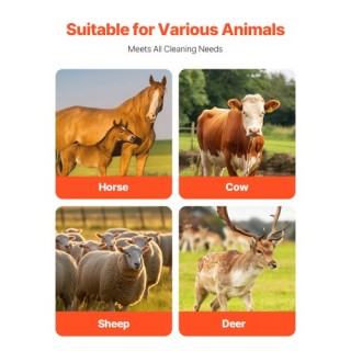 VEVOR Βούρτσα Ξυσίματος Ζώων 6τμχ Ανακούφιση Φαγούρας Αλόγων 43.4 ε... VEVOR Βούρτσα Ξυσίματος Ζώων 6τμχ Ανακούφιση Φαγούρας Αλόγων 43.4 ε...