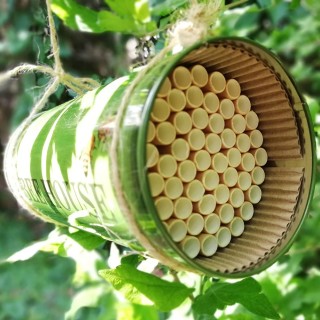 BAKAJI Σπίτι για Μέλισσες σε Βάζο Κατάλληλο για Φωλεοποίηση Μεταλλι... BAKAJI Σπίτι για Μέλισσες σε Βάζο Κατάλληλο για Φωλεοποίηση Μεταλλι...