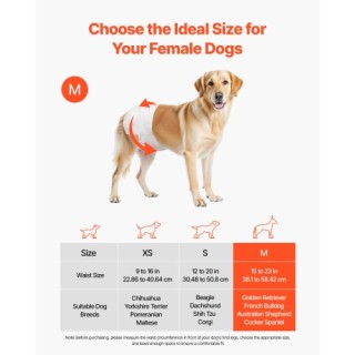 VEVOR Υπερ-Απορροφητικές Πάνες Μίας Χρήσης για Θηλυκούς Σκύλους Μέγ... VEVOR Υπερ-Απορροφητικές Πάνες Μίας Χρήσης για Θηλυκούς Σκύλους Μέγ...