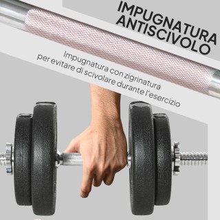 HOMCOM Σετ Ελεύθερα Βάρη 20 κιλά (4x2.5 κιλά, 4x1.5 κιλά) με 8 Δίσκ...