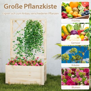 Costway Φυσική Κασπώ με Σκάλωμα και Σύστημα Αποστράγγισης 58 x 35 x... Costway Φυσική Κασπώ με Σκάλωμα και Σύστημα Αποστράγγισης 58 x 35 x...