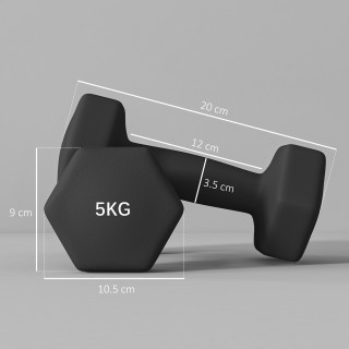 SPORTNOW Σετ 2 Εξαγωνικοί Αλτήρες 2x5 κιλά από Μέταλλο και Πλαστικό...