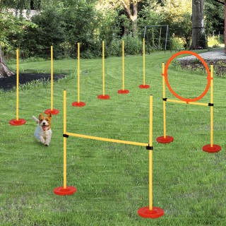 PawHut Set Agility Dog με στοιχήματα και ρυθμιζόμενο δαχτυλίδι για ... PawHut Set Agility Dog με στοιχήματα και ρυθμιζόμενο δαχτυλίδι για ...