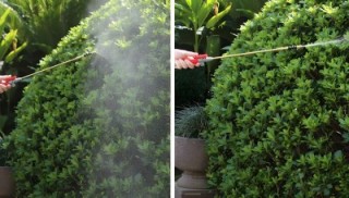 Multistore Ψεκαστήρας πίεσης 8L κήπου χειροκίνητος 2.2-2.5 bar μακρ...