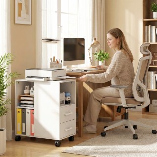 HOMCOM Μινιμαλιστικό Τραπεζάκι με Ρόδες, 2 Συρτάρια, Ανοιχτό Χώρο κ...