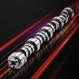 VEVOR Κιτ Εκκεντροφόρου με Ελατήρια & Τσιμούχες Βαλβίδων για GM Gen...