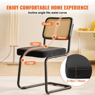 VEVOR Σετ 2 τμχ  Καρέκλες Τραπεζαρίας με Βελούδινη Επένδυση και Rat...