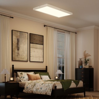 HOMCOM Σετ 2 Λεπτών και Μινιμαλιστικών LED Φωτιστικών Οροφής με Ρυθ...