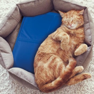 Galileo Δροσερό τζελ υπόστρωμα για κατοικίδια 50x40 cm Puppy Duppid...