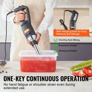 Επαγγελματικός Ραβδομπλέντερ VEVOR 350W για Σούπες & Σάλτσες  ZXSCJ...